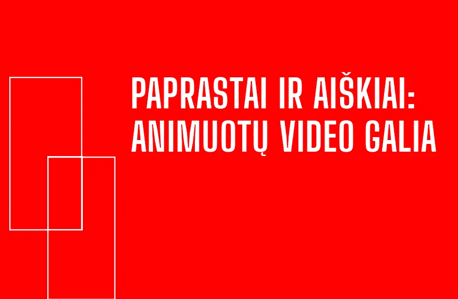 KITAS. Sudetinga informacija paprastai ir aiskiai