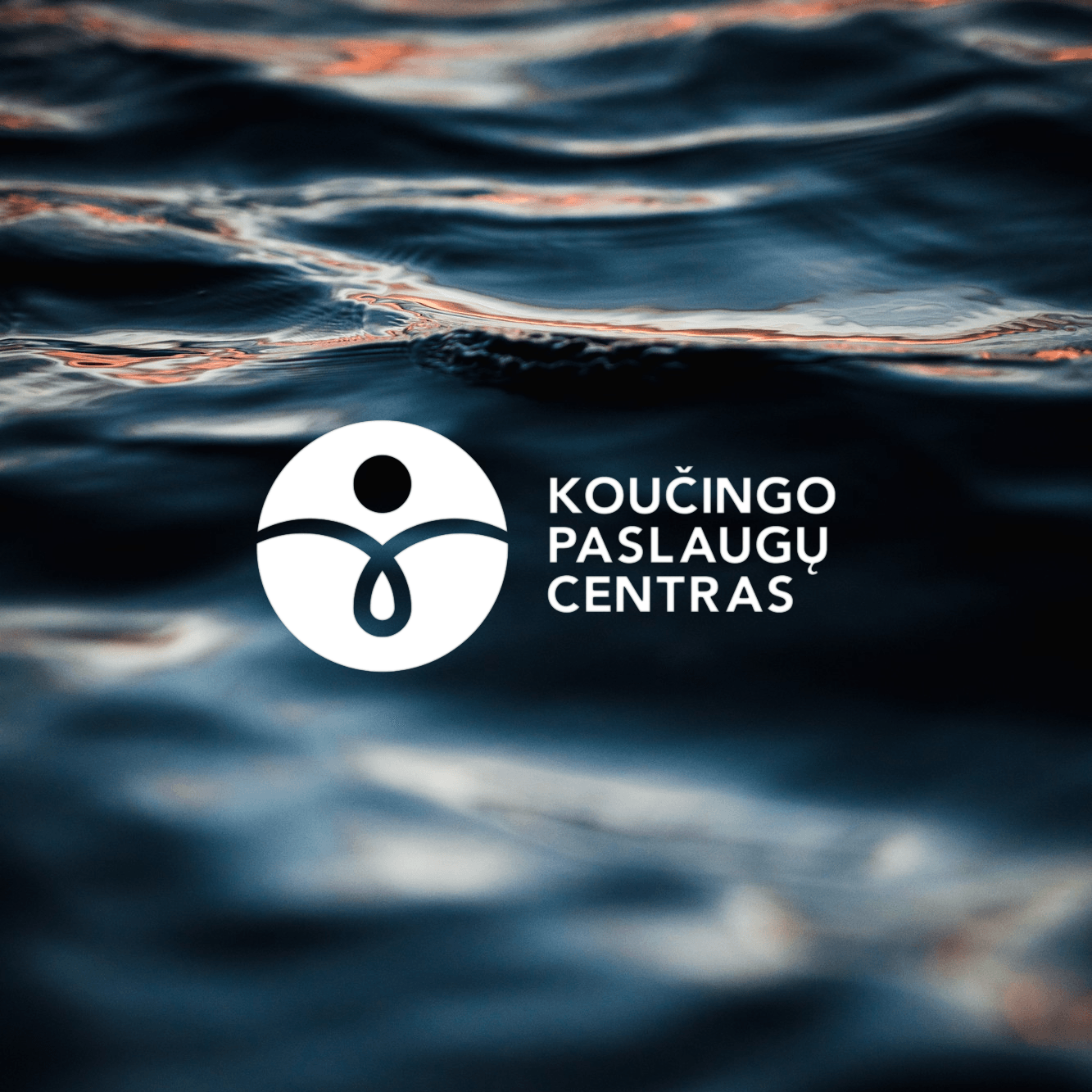 Koucingo paslaugu centras IMG
