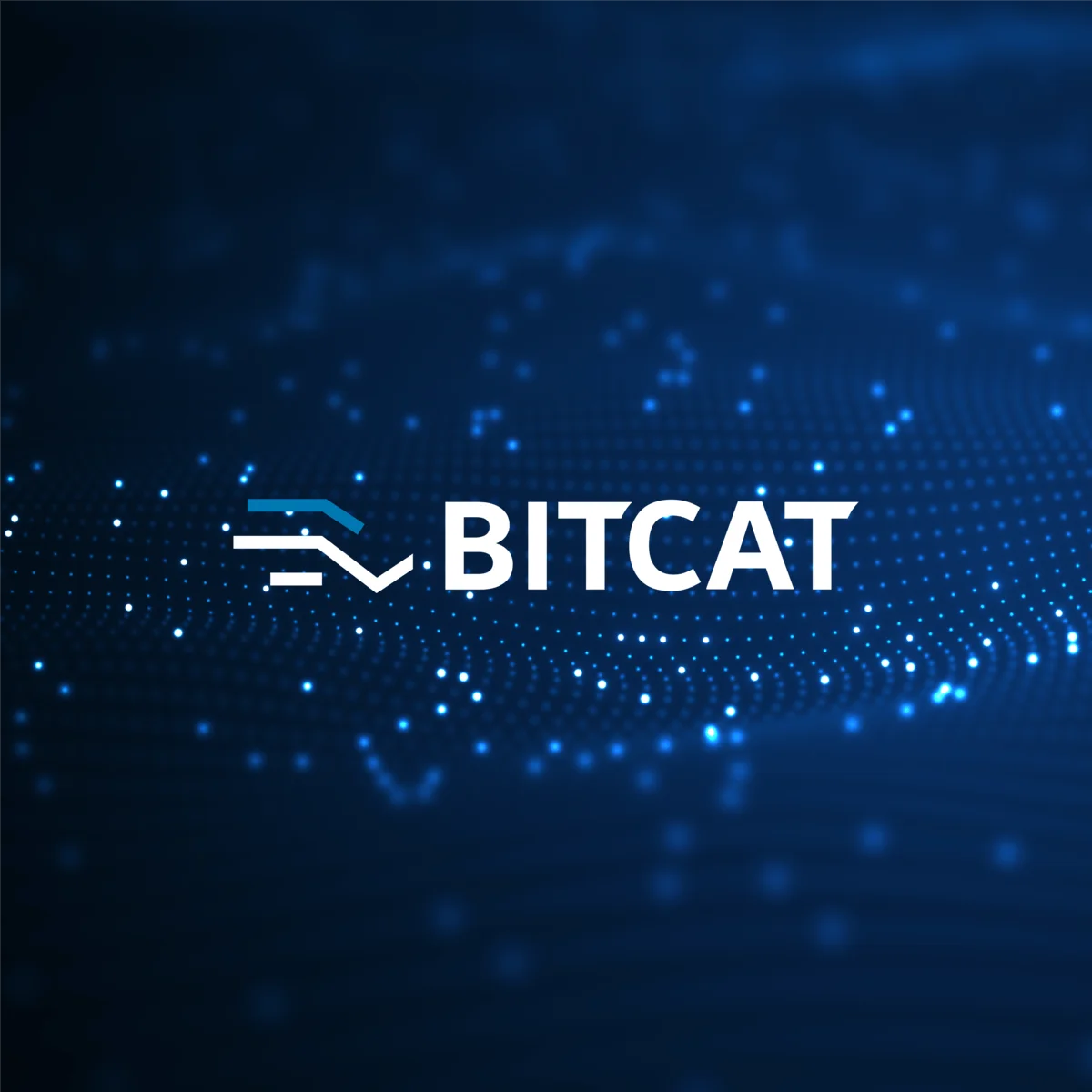 bitcat virselis 07