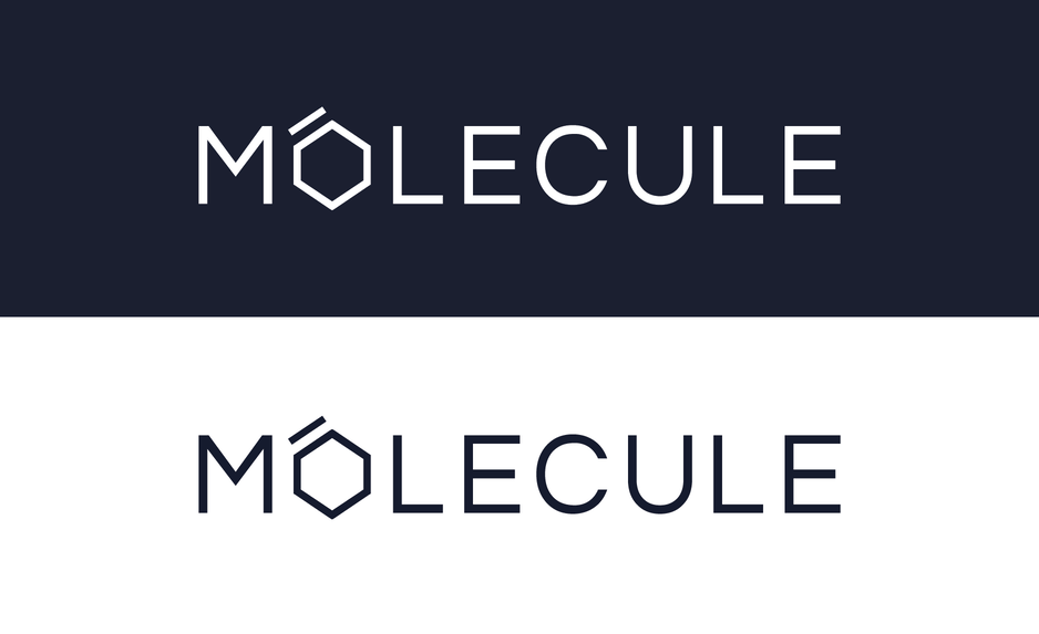 molecule logotipas 2