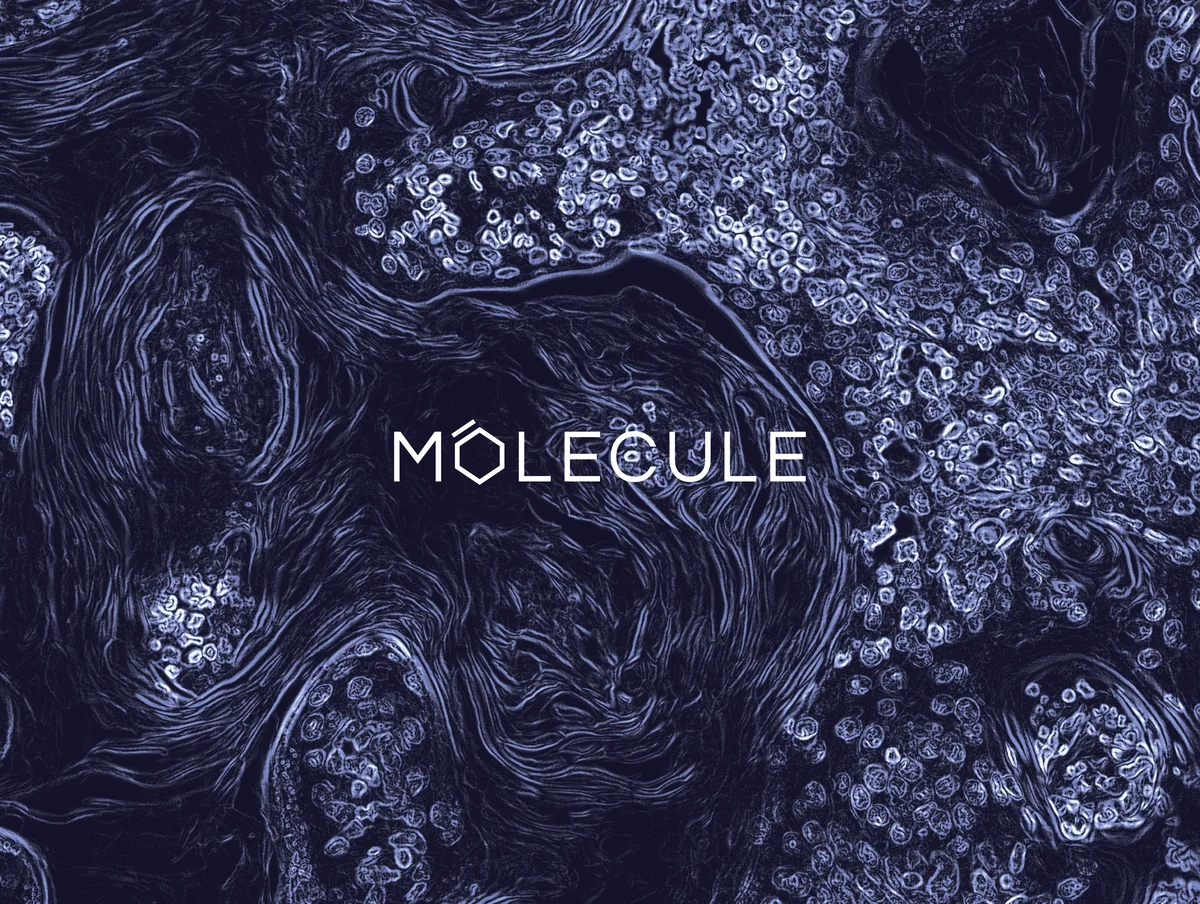 molecule