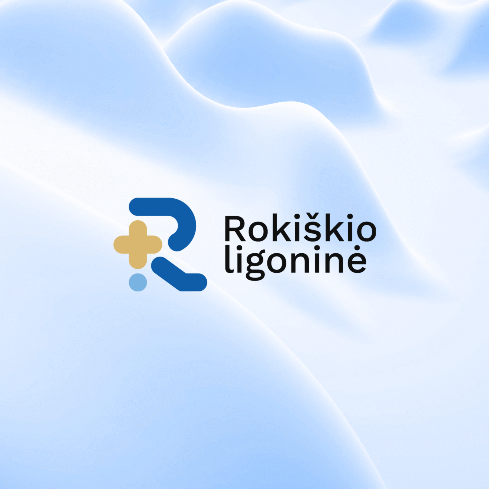 Rokiskio Hospital IMG 3